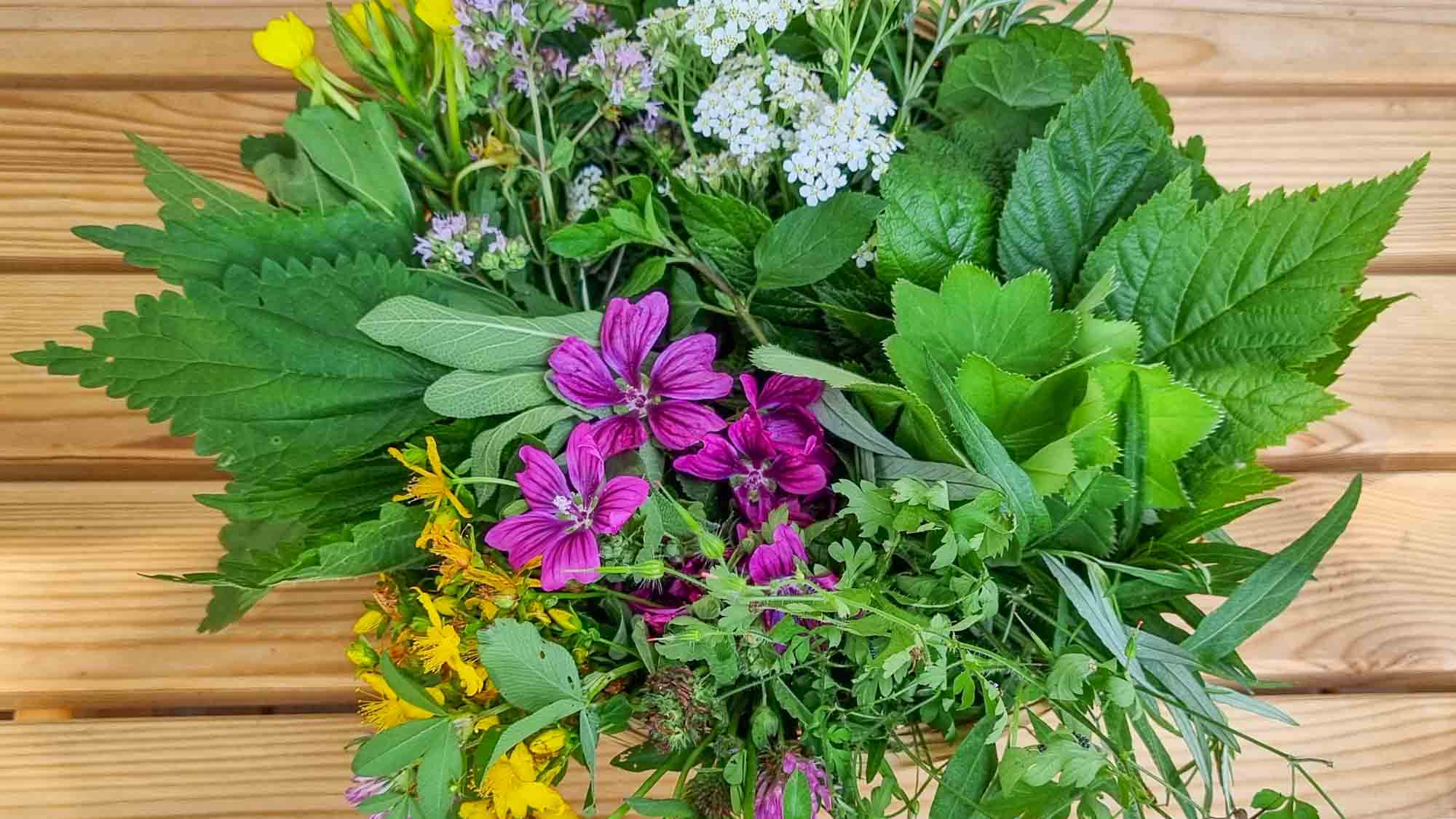 Kräuterworkshop »Frauenkräuter für Leib und Seele«